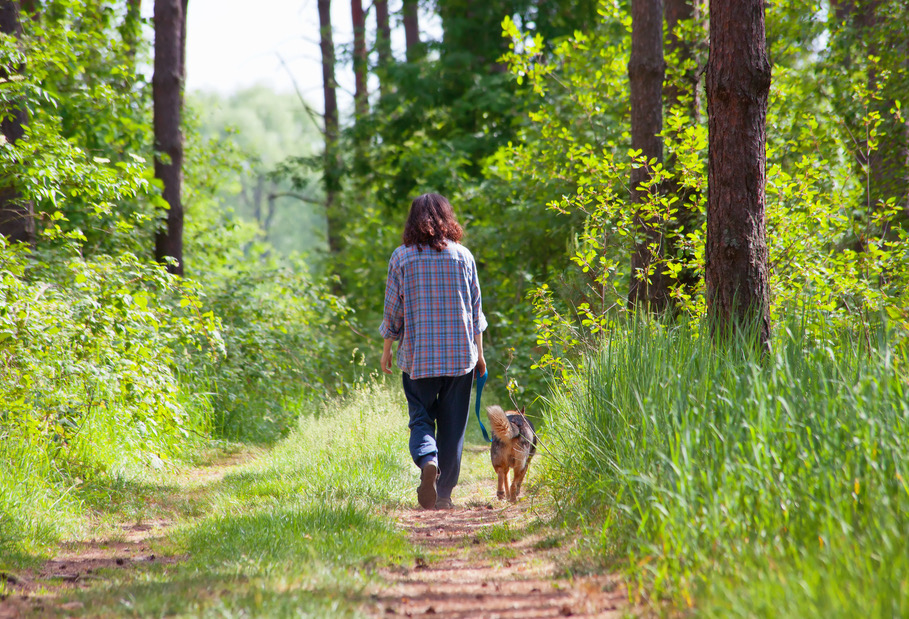 A back view of a woman walking down a wooded path with her German Shepherd.