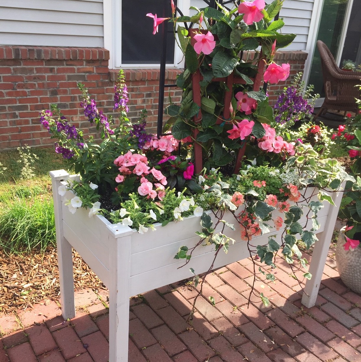 A photo of flowers from RVNAhealth Caregiver Susan