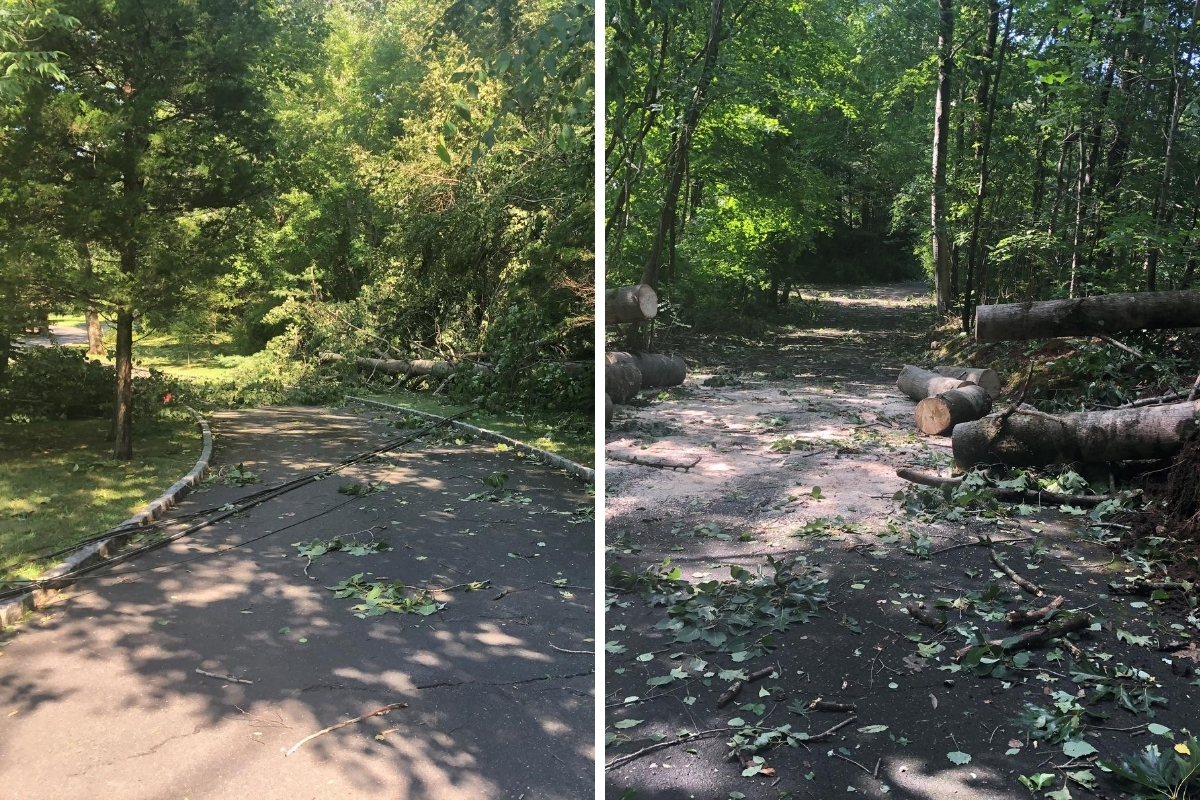 Side by side photos of power lines down in a driveway and a large tree that had blocked a driveway until a section was cut out with a chainsaw
