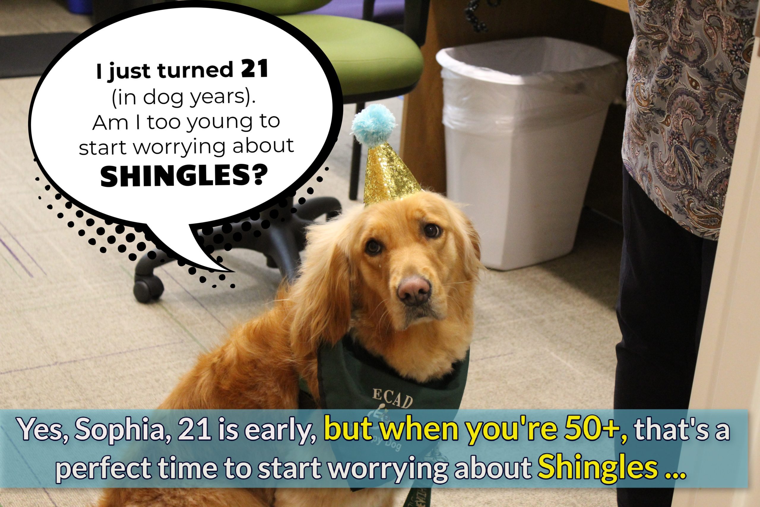 can dogs get chicken pox or shingles from humans