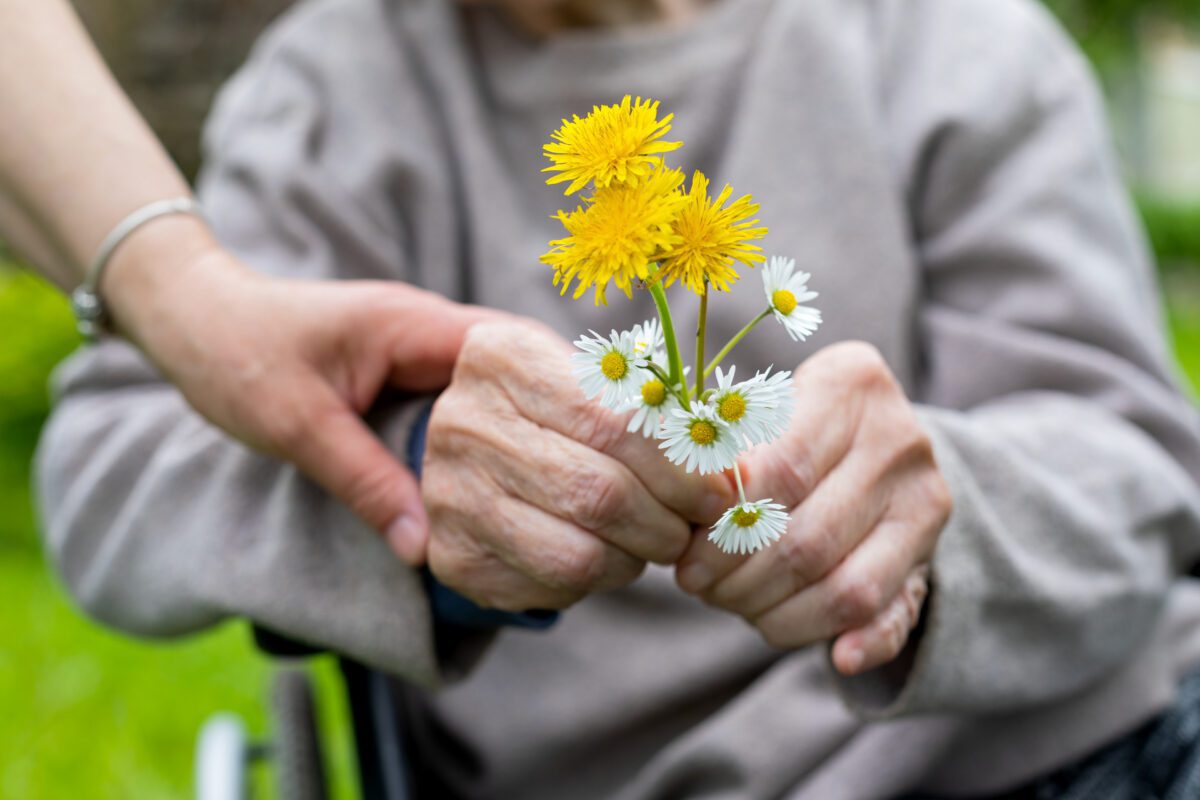 Alzheimer's and Dementia Support