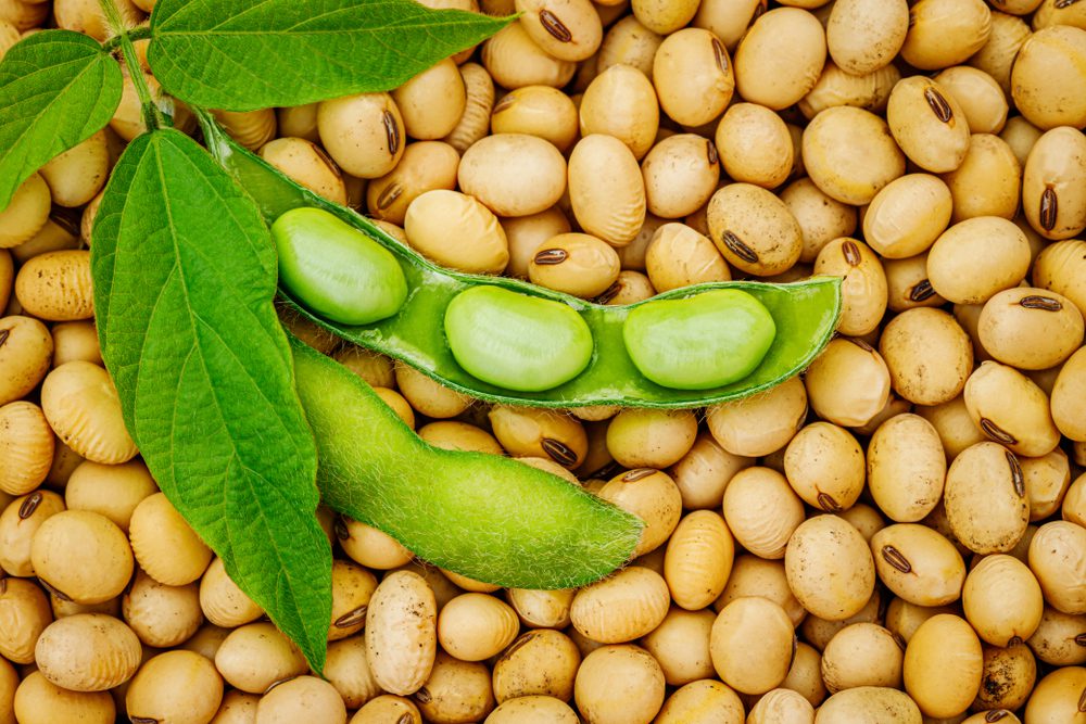 Nutrition - About Soy