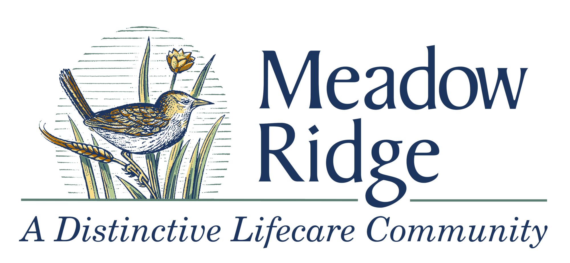 Supporter Spotlight: Meadow Ridge