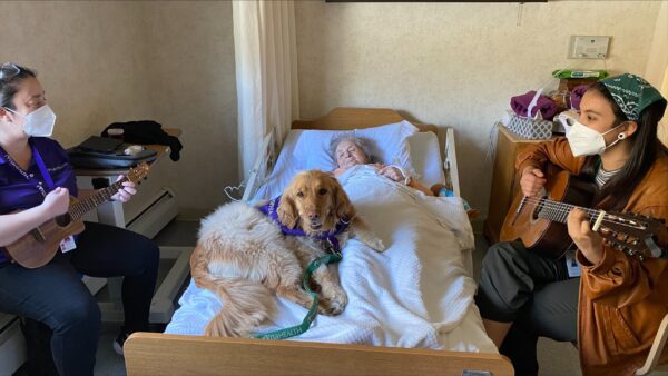 Pet and music therapy during hospice care